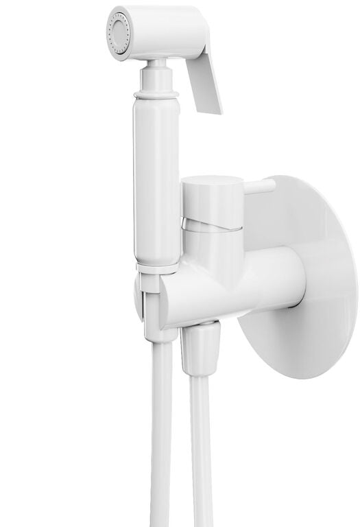 Rubinetteria incasso bidet